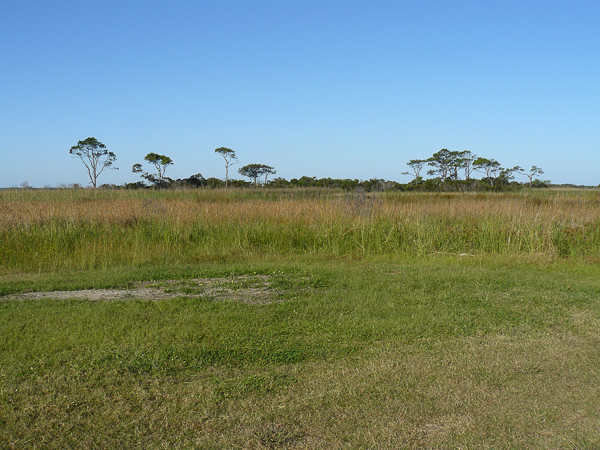 001 Bodie Island - mokrade