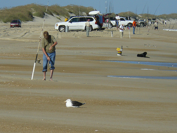 046 Great BB Gull and fishermen