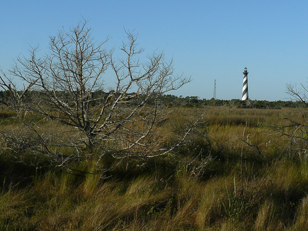 059 Cape Haterras LH and grassland