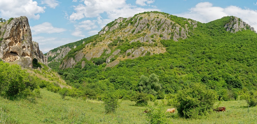 P6079359 panorama